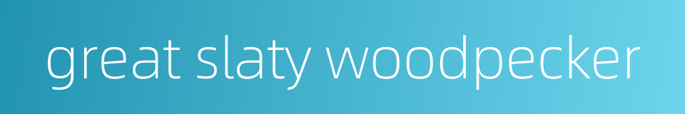 great slaty woodpecker的同义词