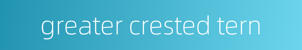 greater crested tern的同义词