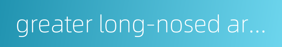 greater long-nosed armadillo的同义词