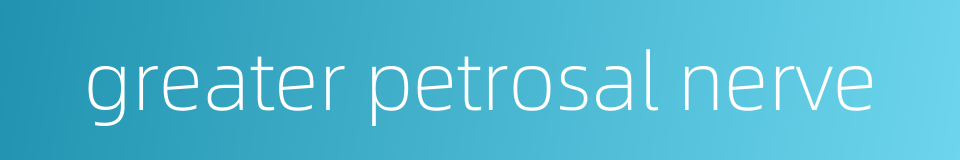 greater petrosal nerve的同义词