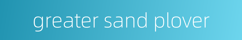 greater sand plover的同义词