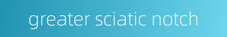greater sciatic notch的同义词