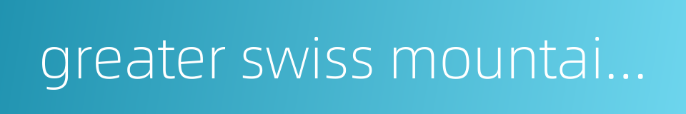 greater swiss mountain dog的同义词