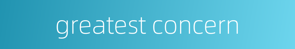greatest concern的同义词