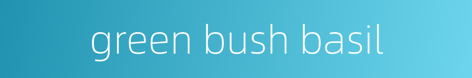 green bush basil的同义词