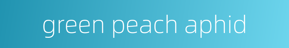 green peach aphid的同义词