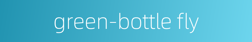 green-bottle fly的同义词