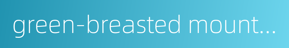 green-breasted mountaingem的同义词