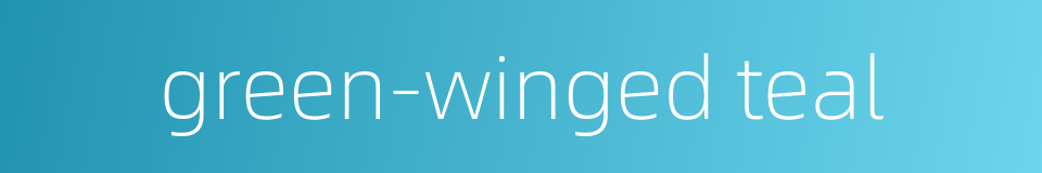 green-winged teal的同义词