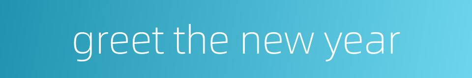 greet the new year的同义词