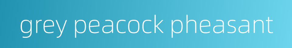 grey peacock pheasant的同义词