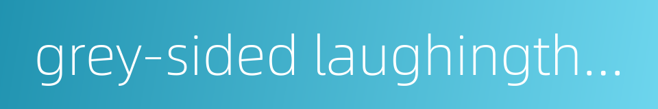 grey-sided laughingthrush的同义词
