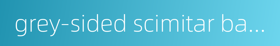 grey-sided scimitar babbler的同义词