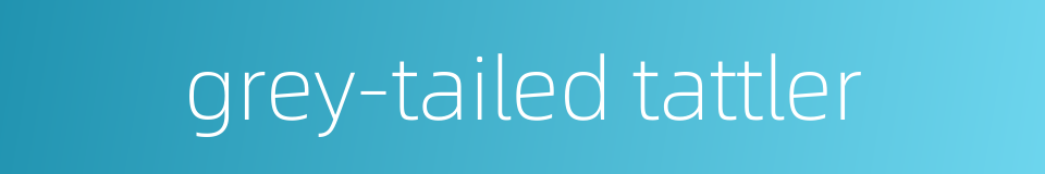 grey-tailed tattler的同义词
