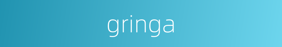 gringa的同义词