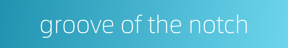 groove of the notch的同义词