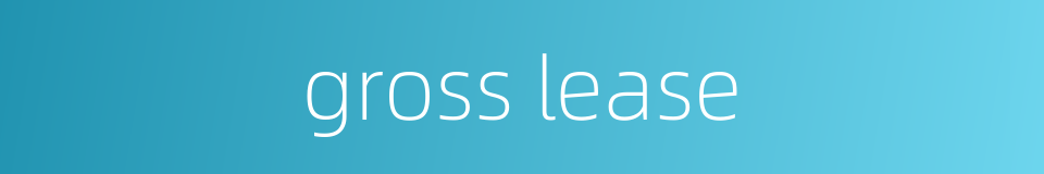 gross lease的同义词