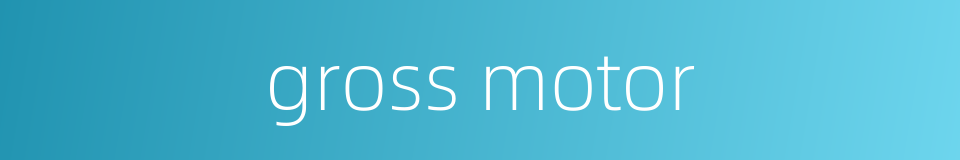 gross motor的同义词