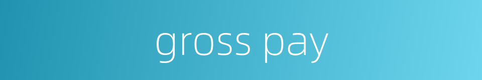 gross pay的同义词