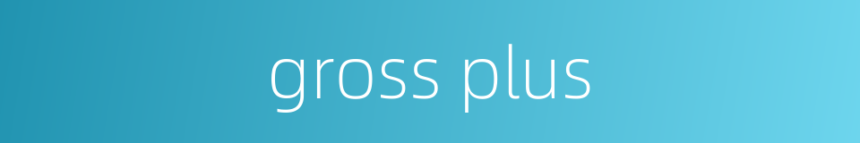 gross plus的同义词
