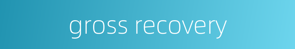 gross recovery的同义词