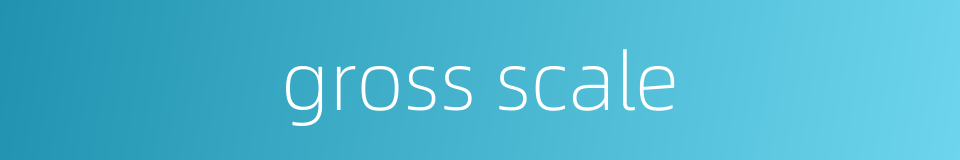 gross scale的同义词