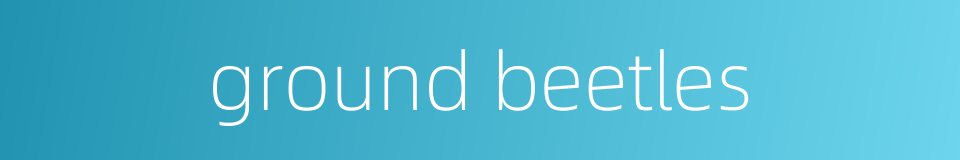 ground beetles的同义词