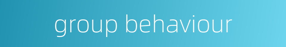 group behaviour的同义词