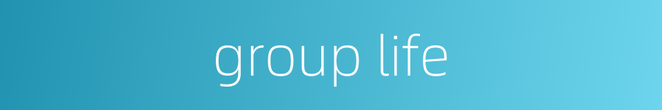 group life的同义词