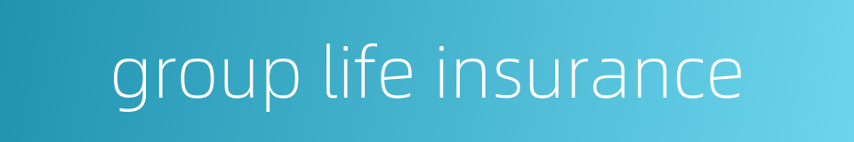 group life insurance的同义词