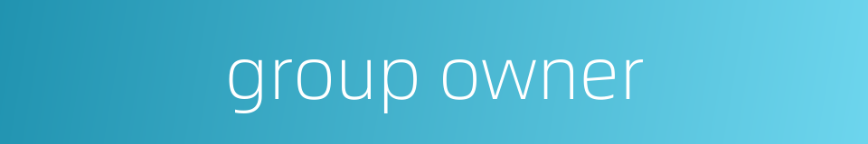 group owner的同义词