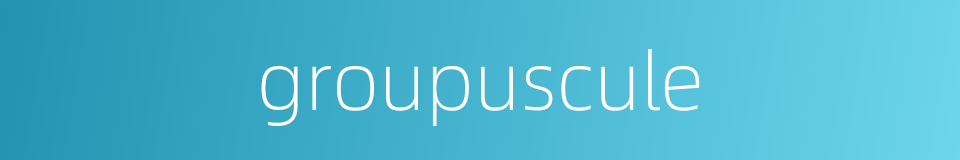 groupuscule的同义词