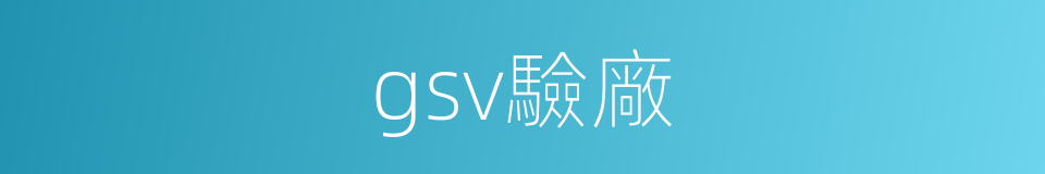 gsv驗廠的同義詞