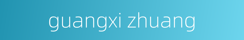 guangxi zhuang的同义词