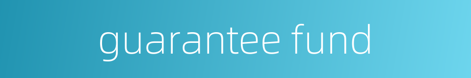 guarantee fund的同义词