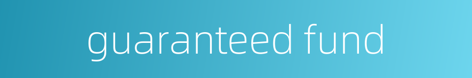 guaranteed fund的同义词