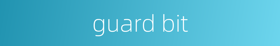 guard bit的同义词