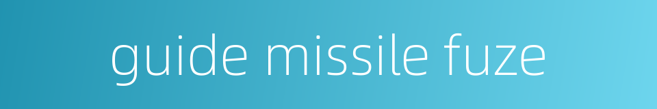 guide missile fuze的同义词