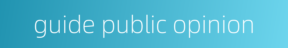 guide public opinion的同义词