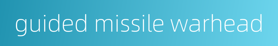 guided missile warhead的同义词