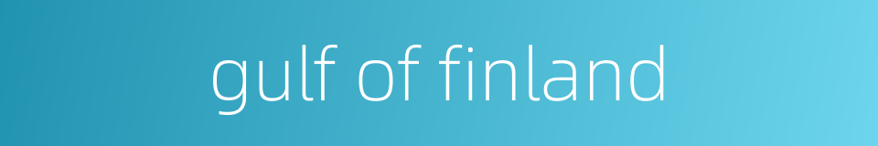 gulf of finland的同义词