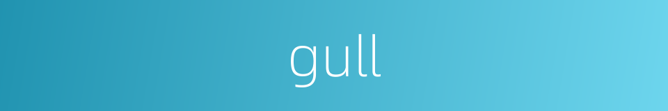 gull的意思