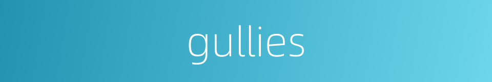 gullies的同义词