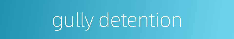 gully detention的同义词