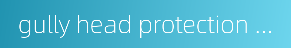 gully head protection works的同义词