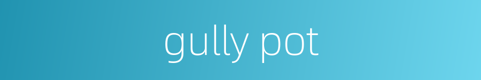 gully pot的同义词