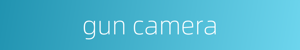gun camera的同义词