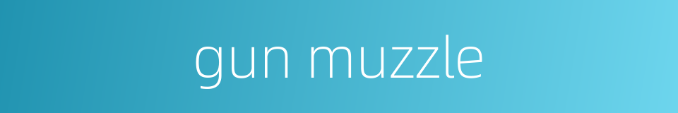 gun muzzle的同义词