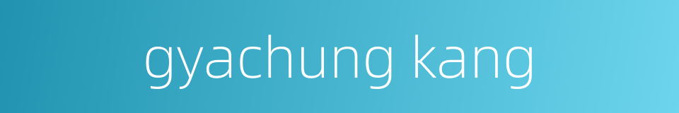 gyachung kang的同义词