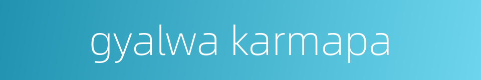 gyalwa karmapa的同义词